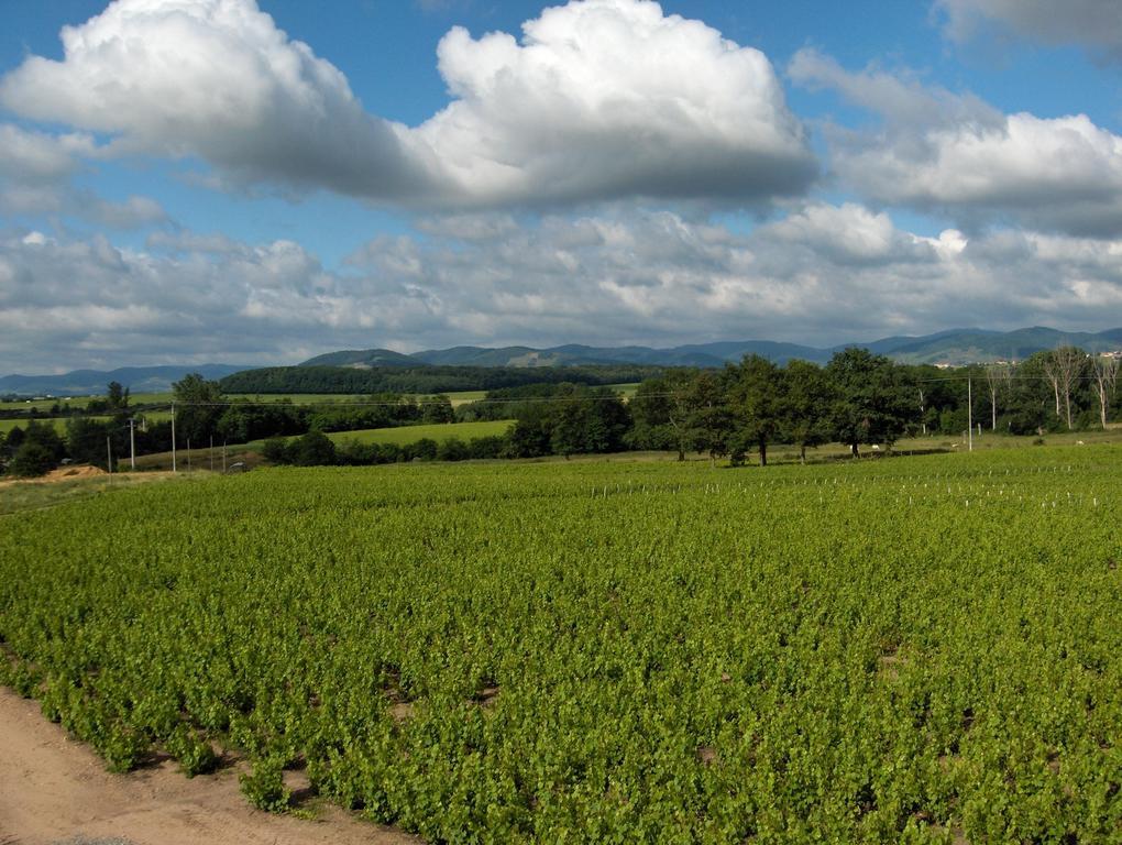 Coeur De Beaujolais *